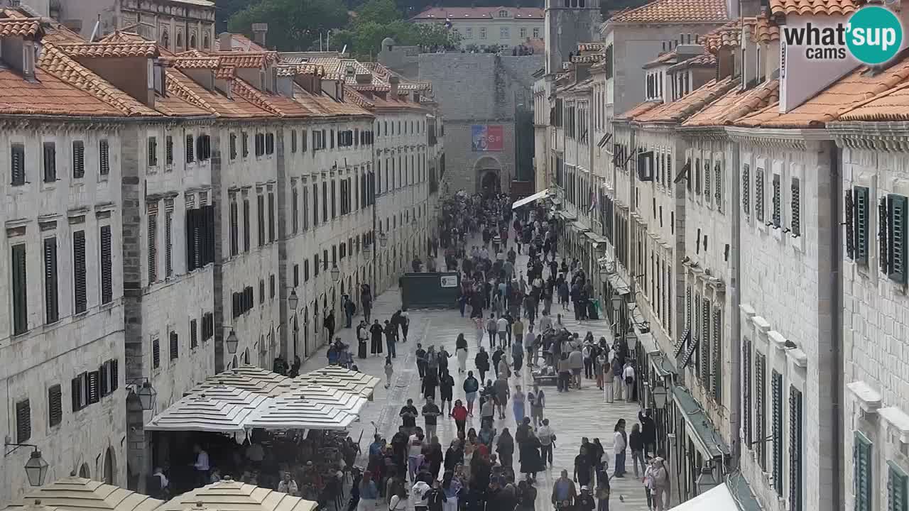 Camera en vivo Dubrovnik Stradun