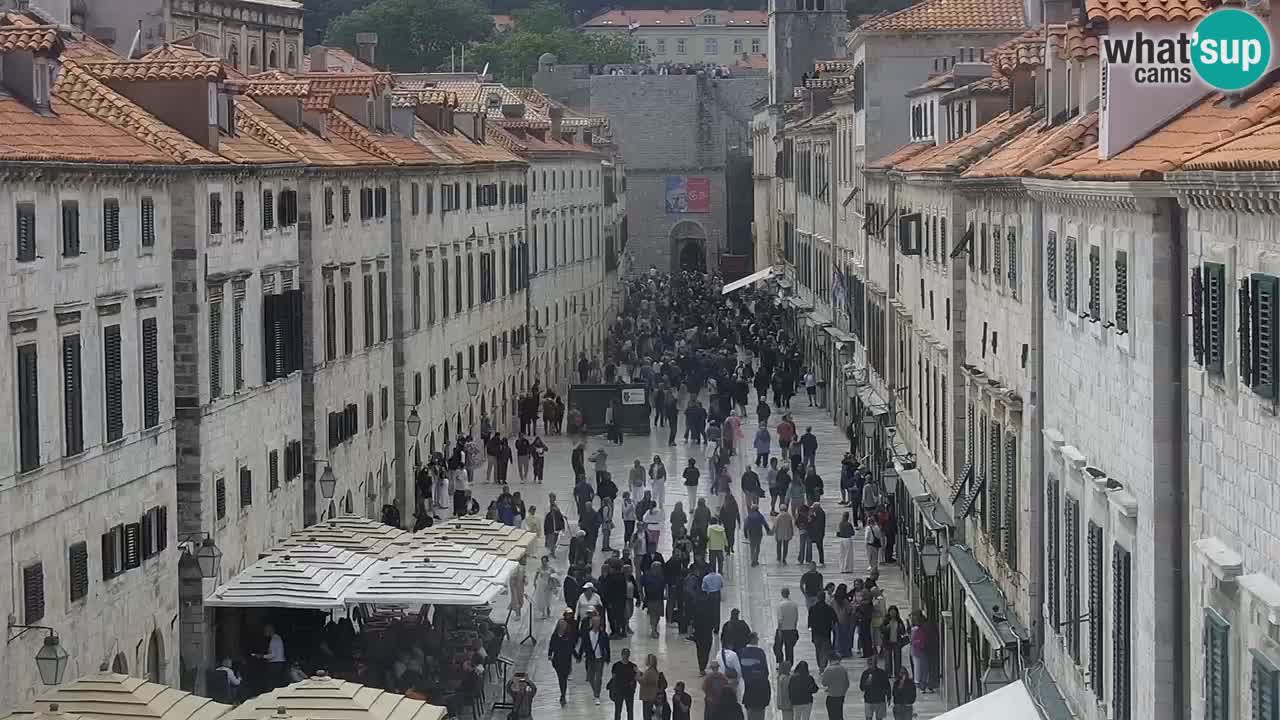 Live Webcam Dubrovnik Stradun