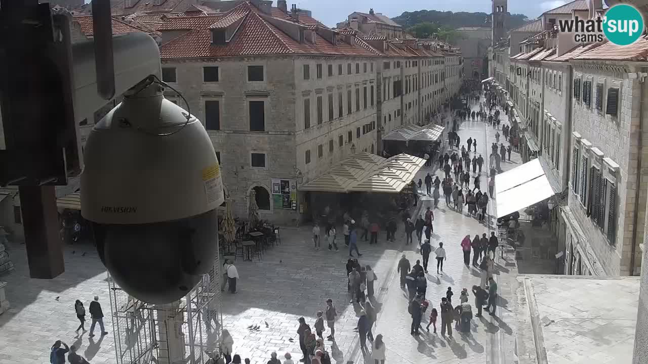 Webcam Ragusa (Dubrovnik) Stradun