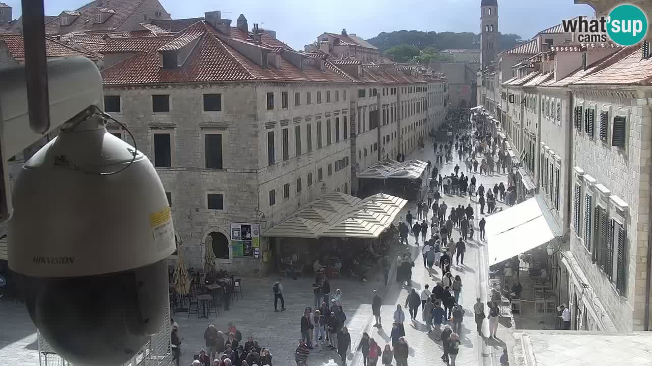 Camera en vivo Dubrovnik Stradun
