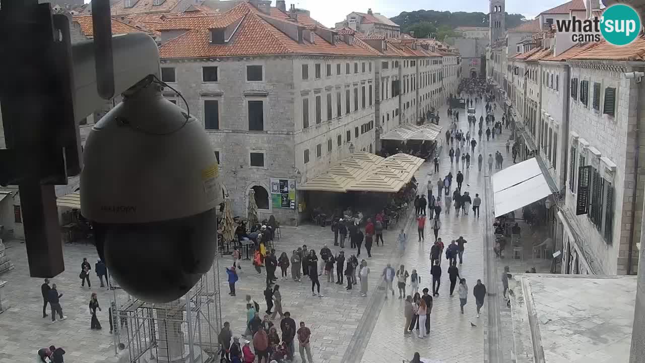Webcam Ragusa (Dubrovnik) Stradun
