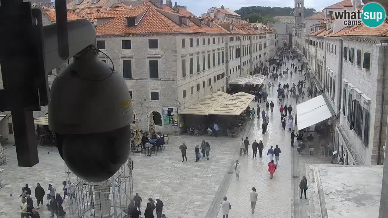 Livecam Dubrovnik Stradun