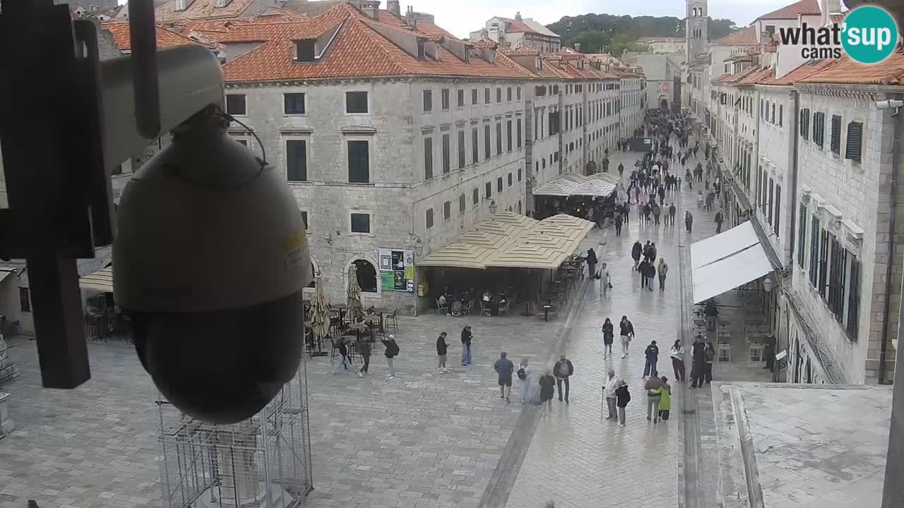 Livecam Dubrovnik Stradun