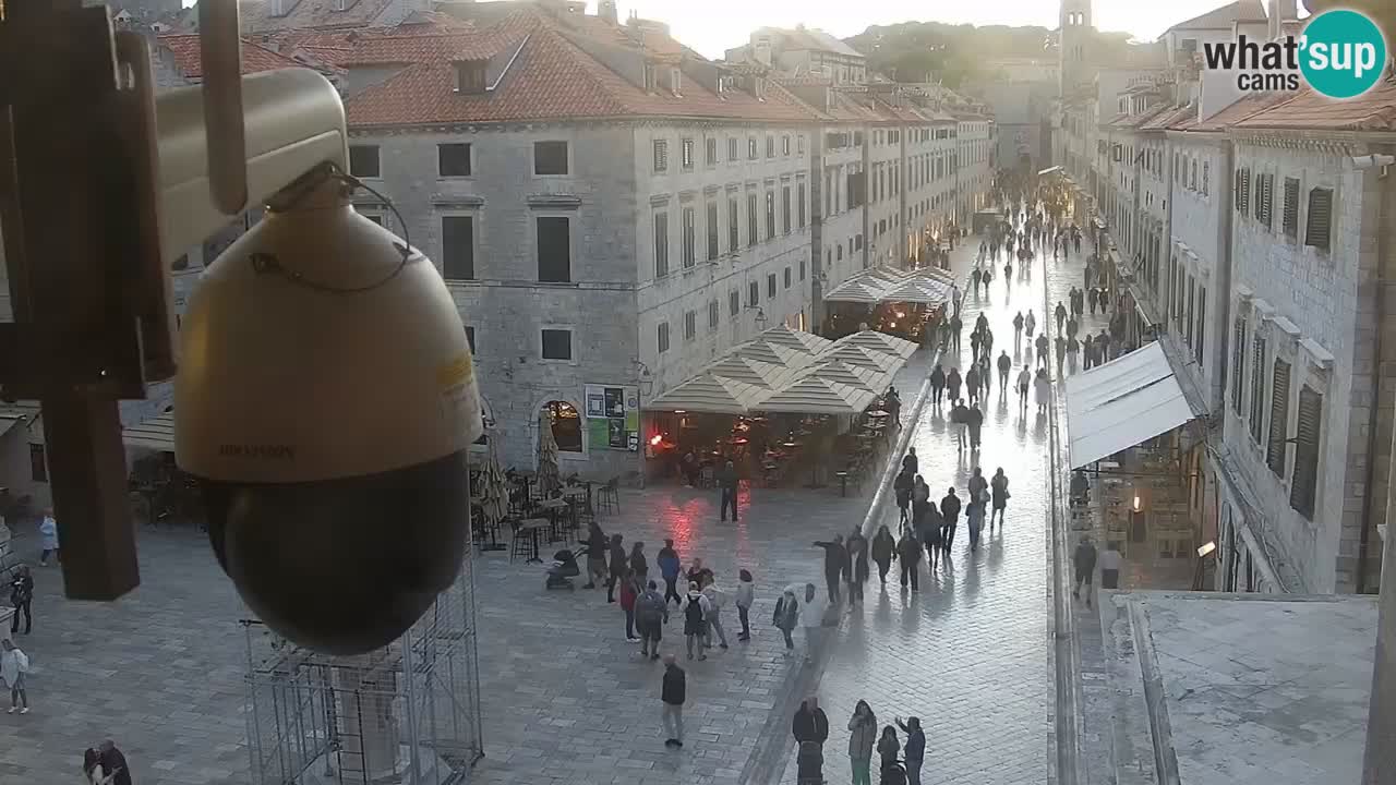 Livecam Dubrovnik Stradun
