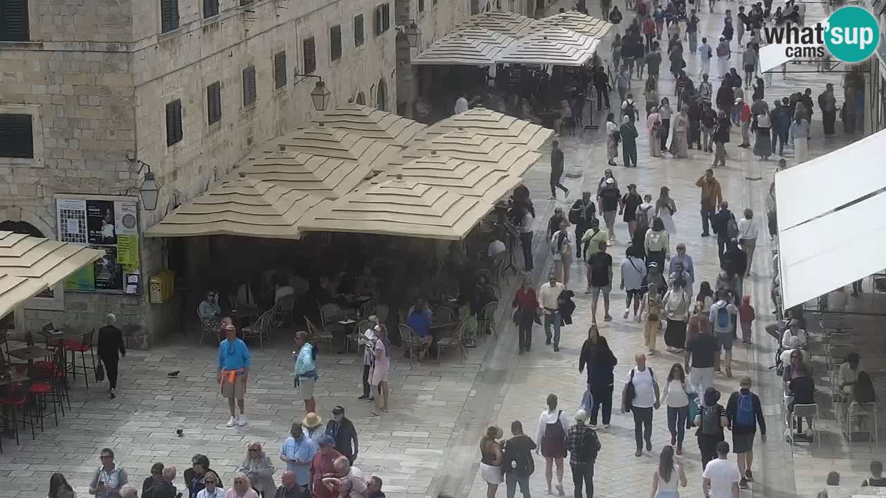 Live Webcam Dubrovnik Stradun