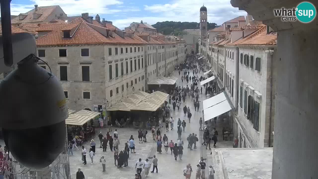 Livecam Dubrovnik Stradun