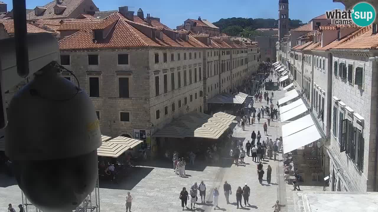 Livecam Dubrovnik Stradun