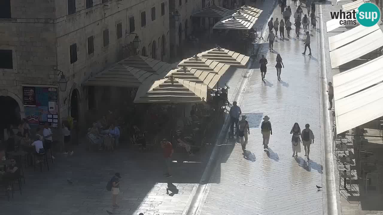Live Webcam Dubrovnik Stradun