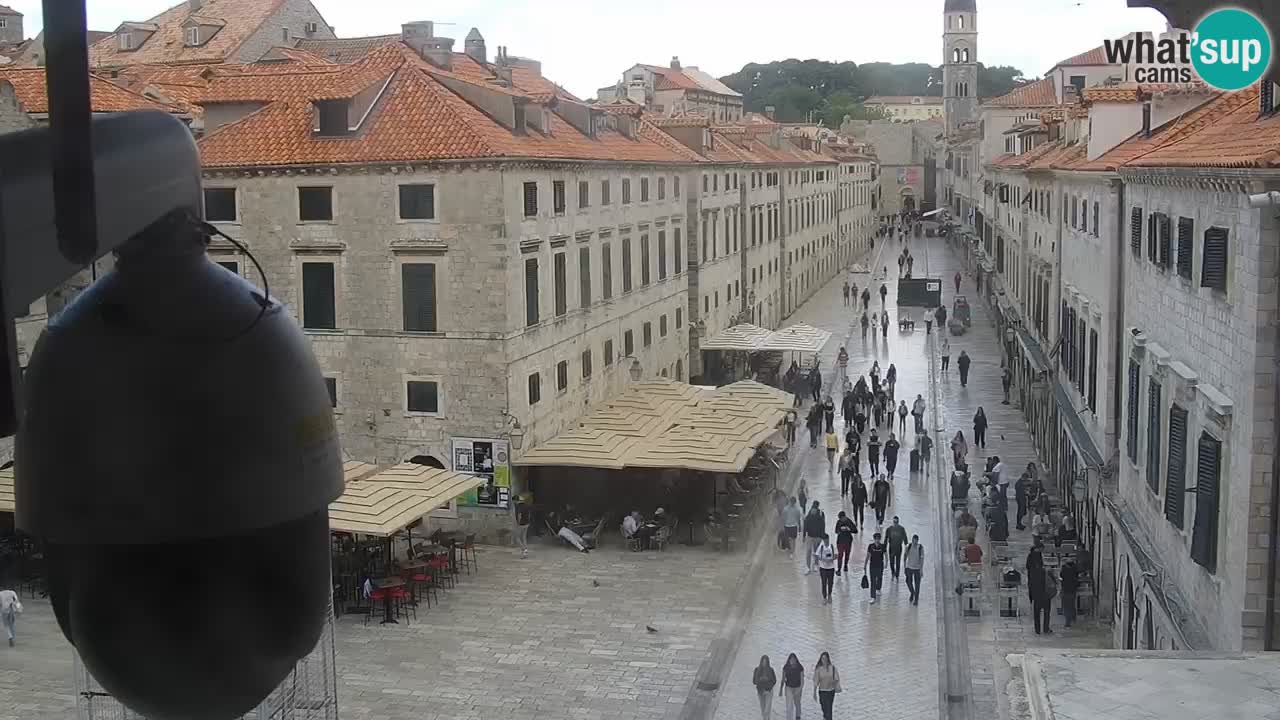 Live Webcam Dubrovnik Stradun