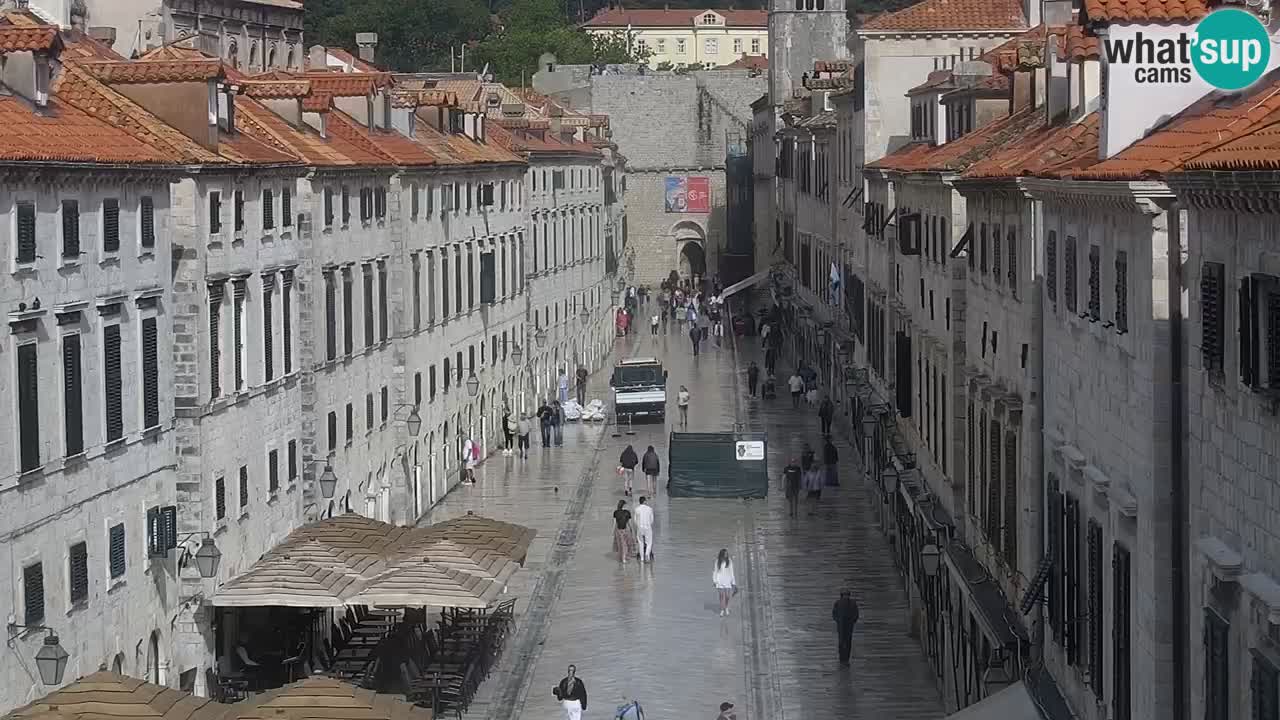Live Webcam Dubrovnik Stradun