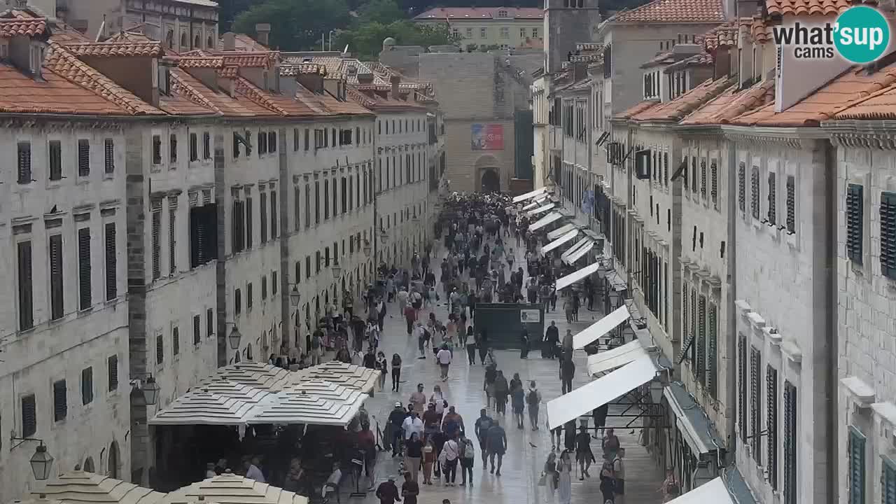 Live Webcam Dubrovnik Stradun