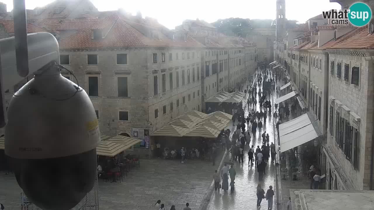 Webcam Ragusa (Dubrovnik) Stradun