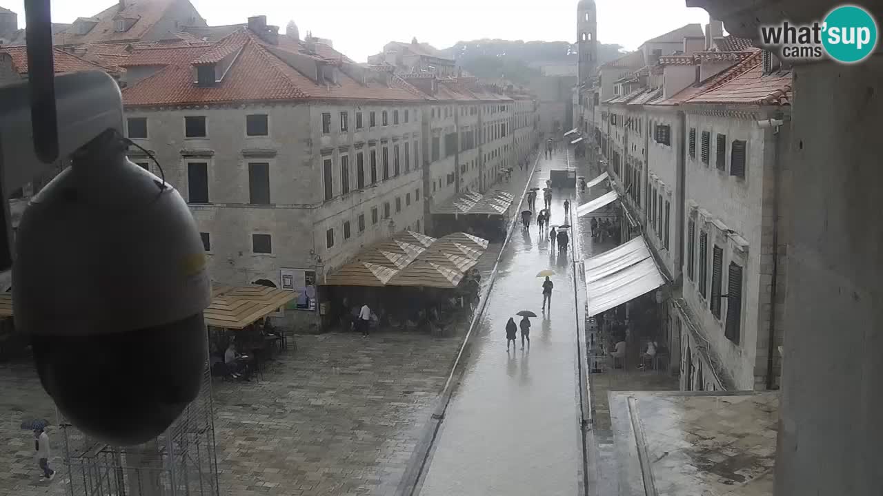Camera en vivo Dubrovnik Stradun