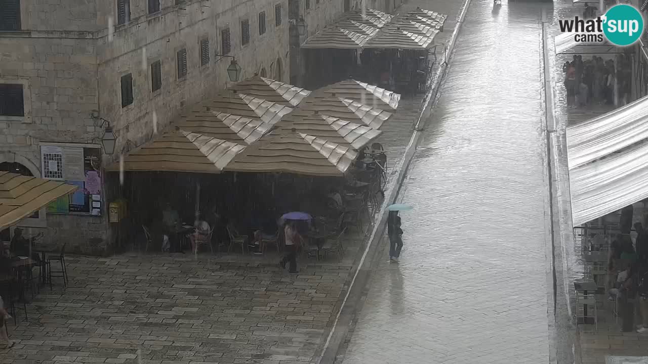 Livecam Dubrovnik Stradun