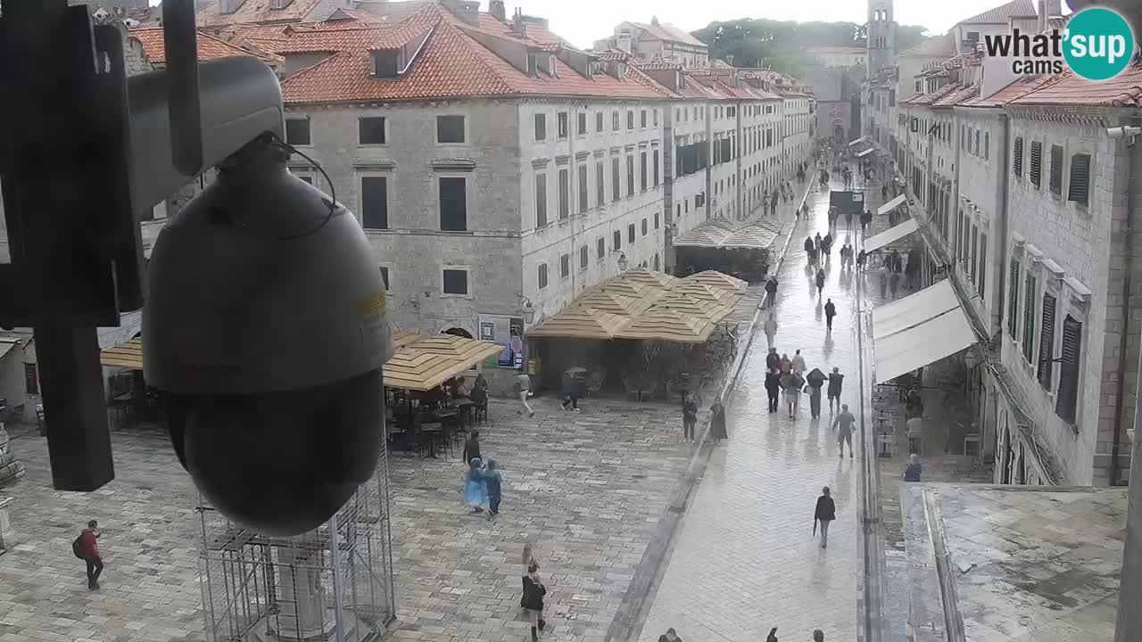 Webcam Ragusa (Dubrovnik) Stradun