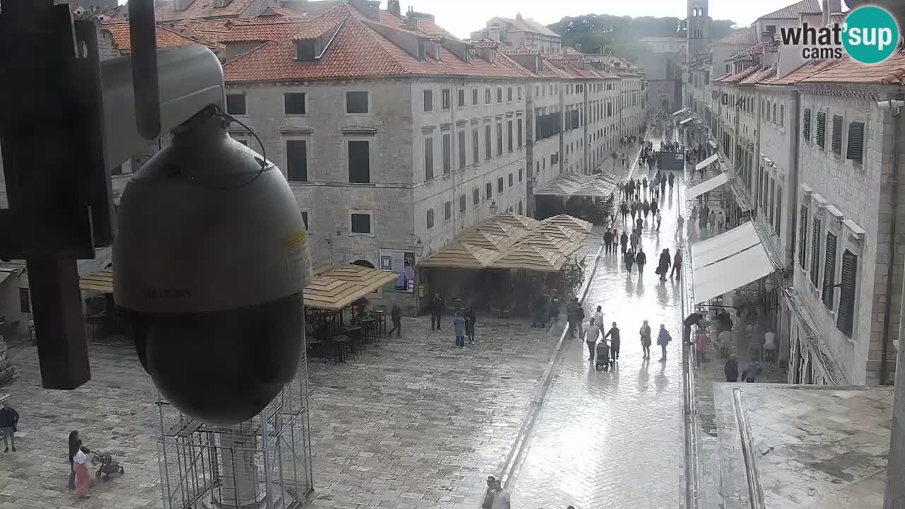 Livecam Dubrovnik Stradun