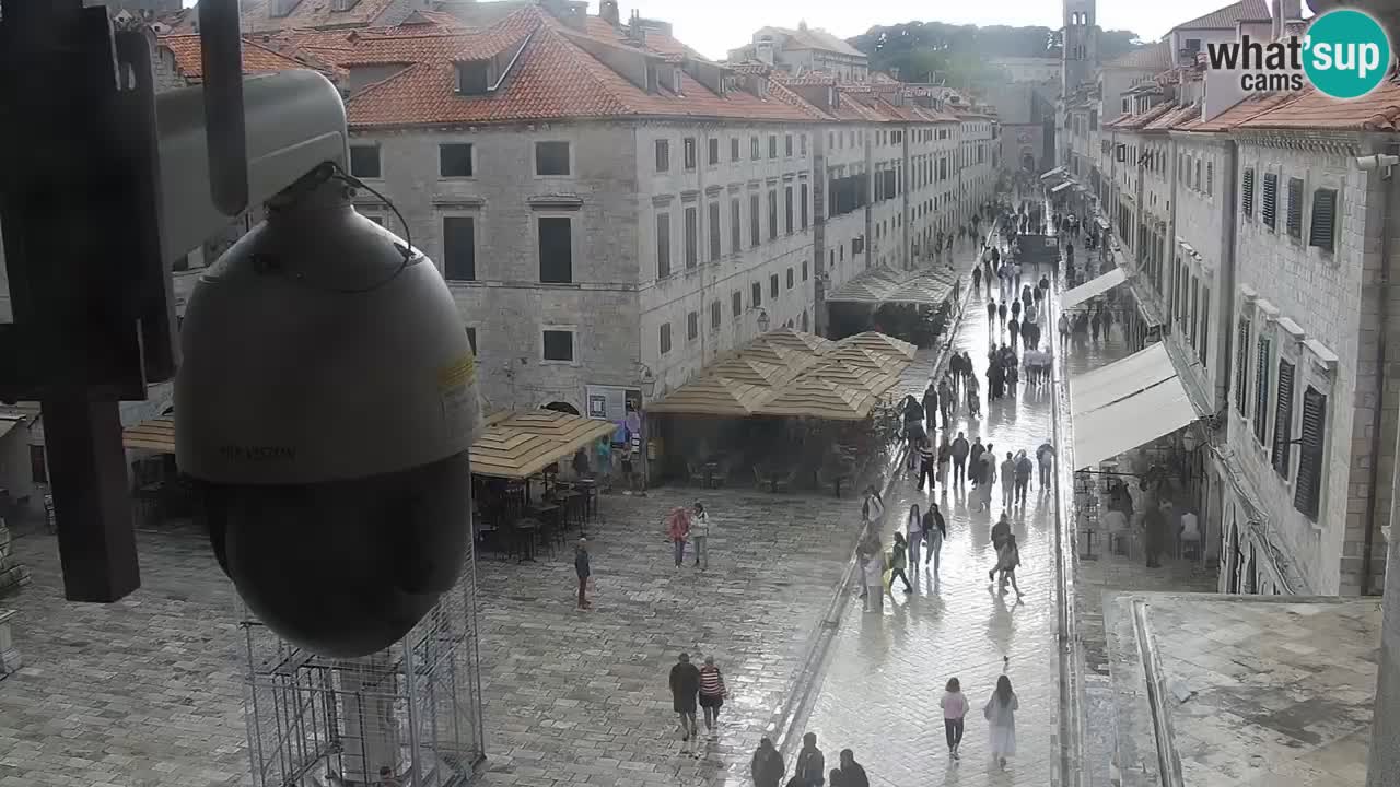 Livecam Dubrovnik Stradun