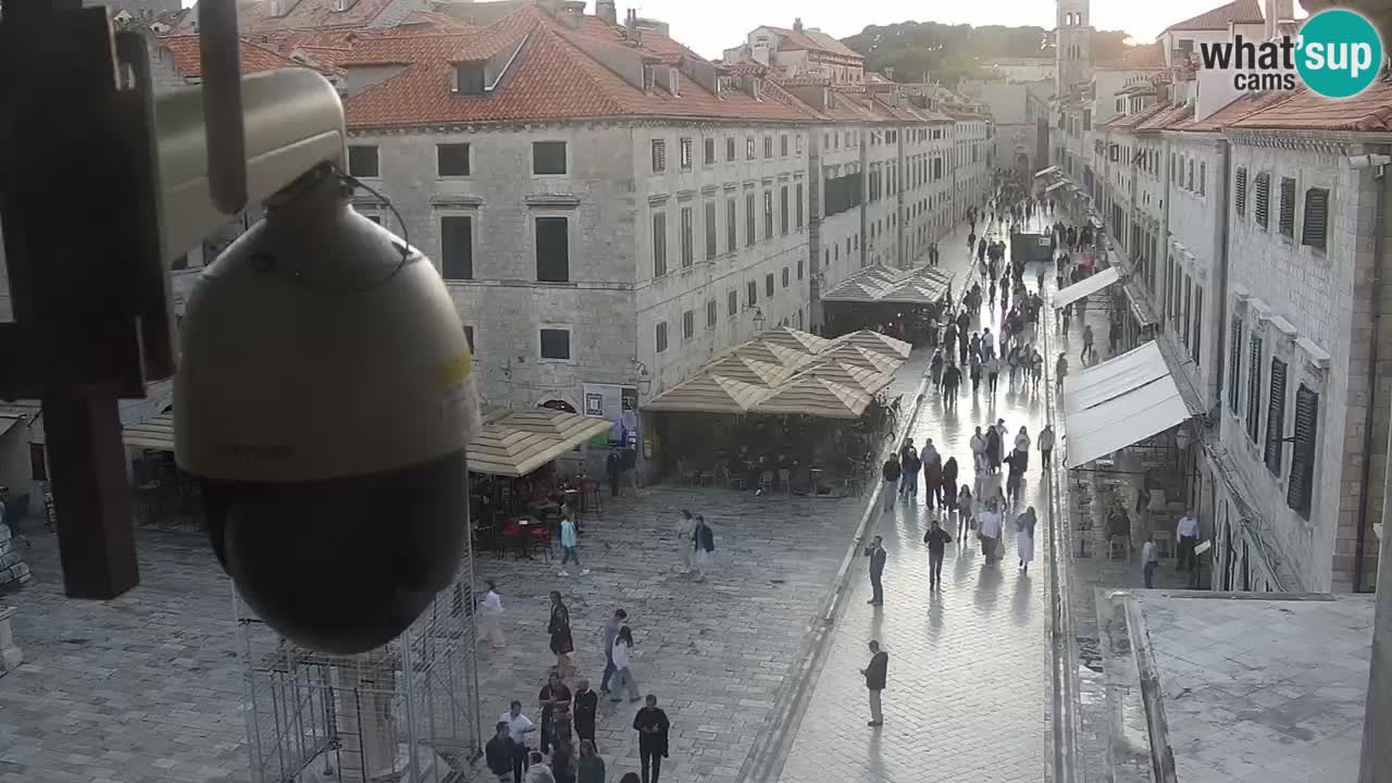 Camera en vivo Dubrovnik Stradun