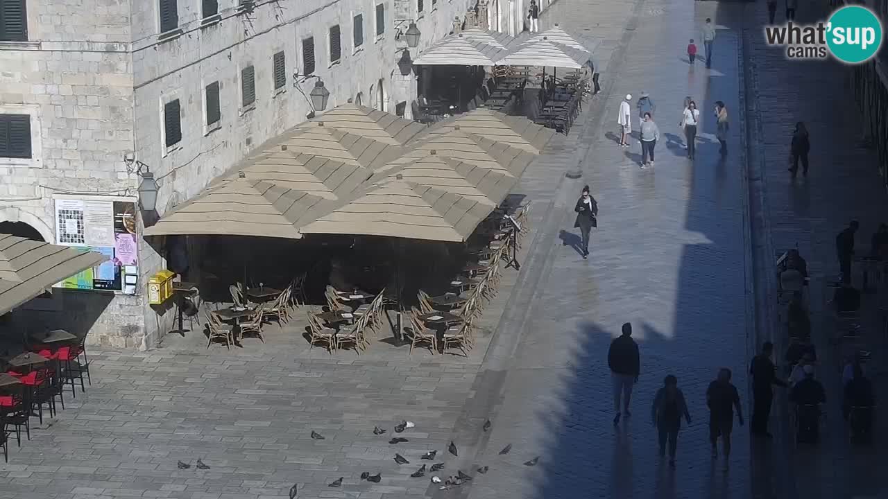 Live Webcam Dubrovnik Stradun