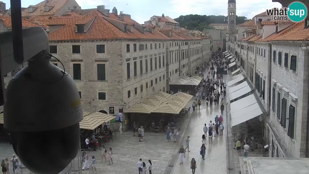 Live Webcam Dubrovnik Stradun