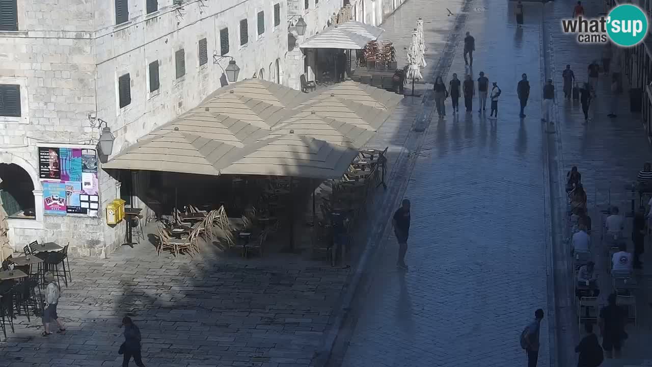 Camera en vivo Dubrovnik Stradun