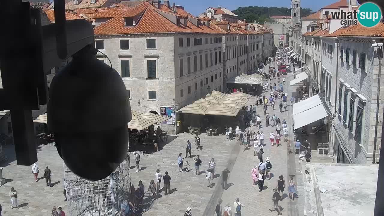 Live Webcam Dubrovnik Stradun