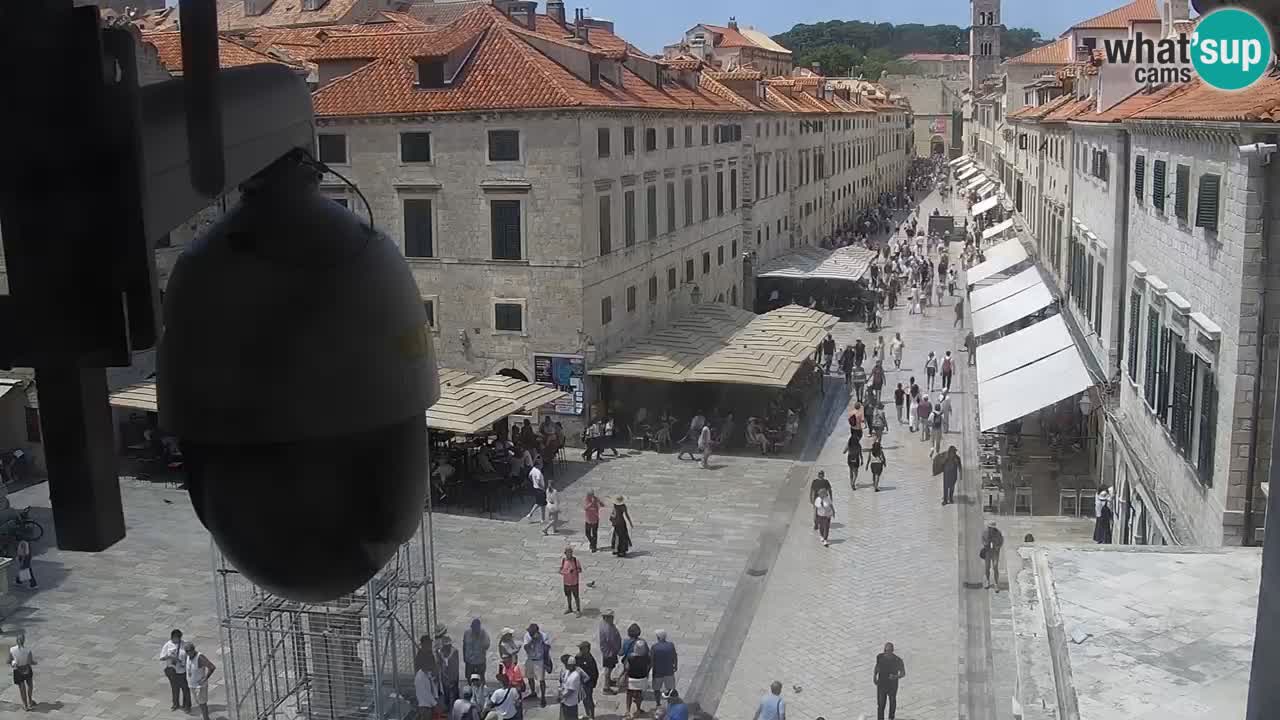 Camera en vivo Dubrovnik Stradun