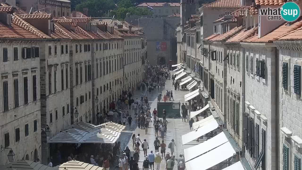 Live Webcam Dubrovnik Stradun