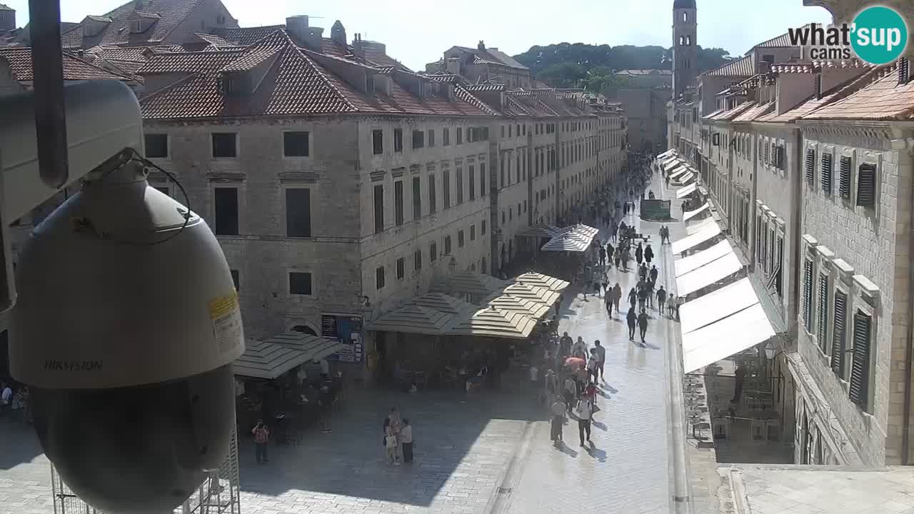 Live Webcam Dubrovnik Stradun