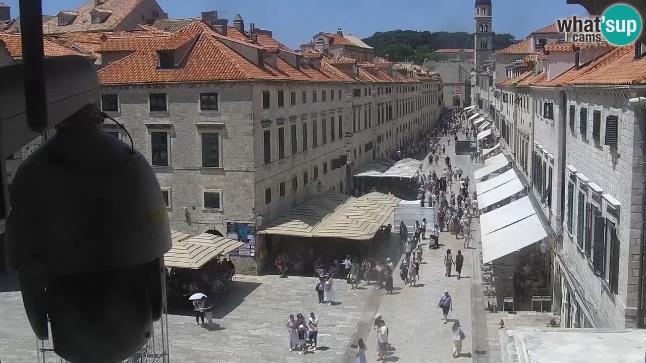 Livecam Dubrovnik Stradun