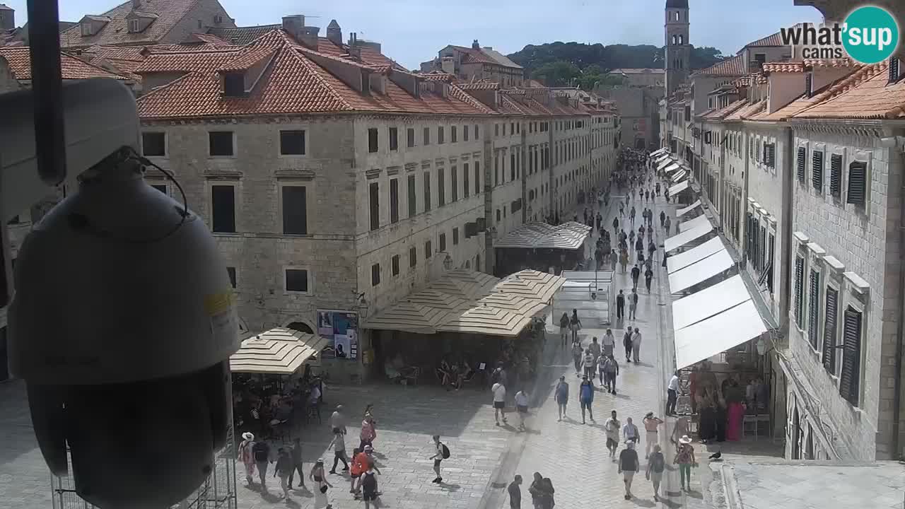Live Webcam Dubrovnik Stradun