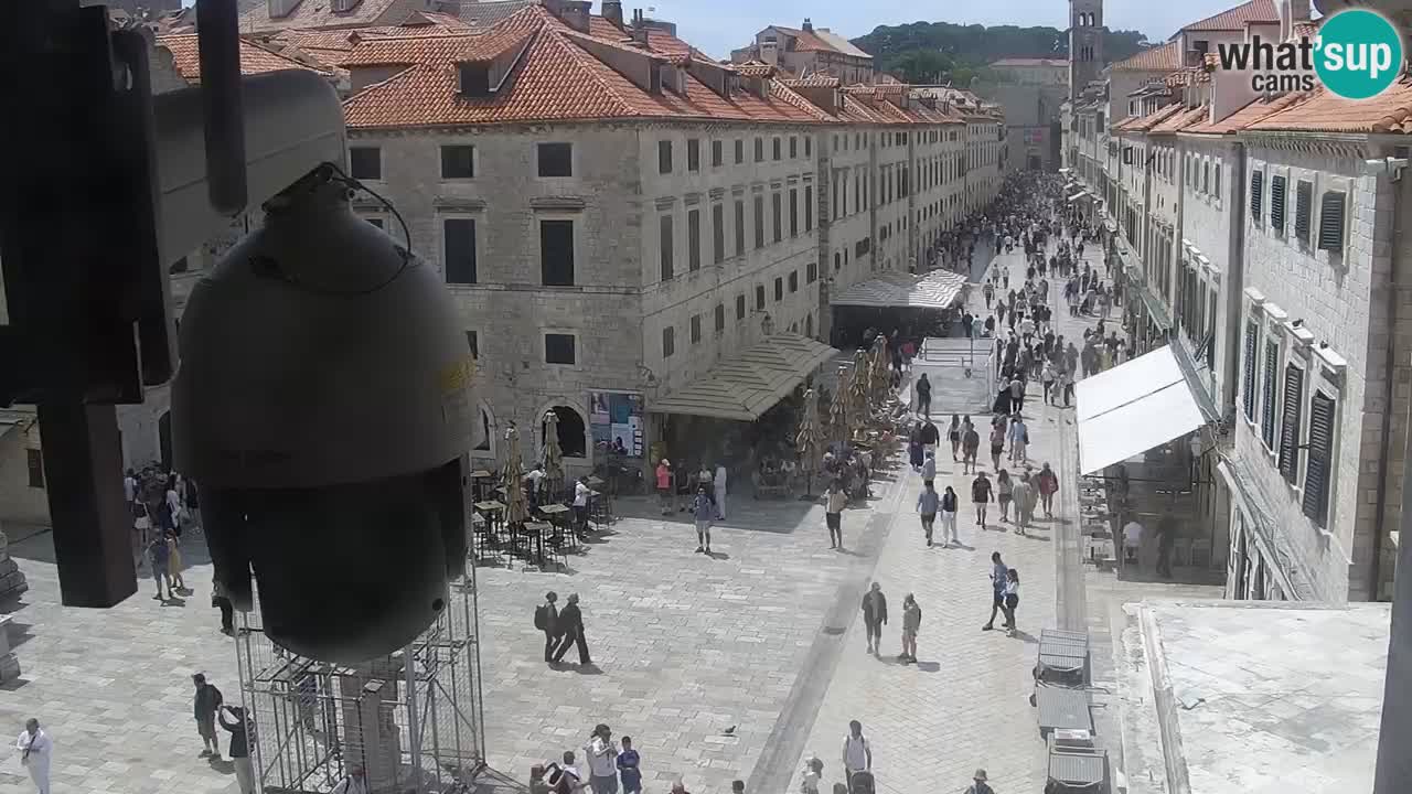 Live Webcam Dubrovnik Stradun