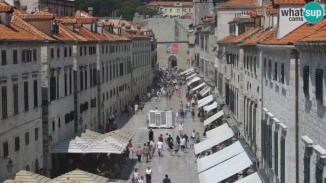 Live Webcam Dubrovnik Stradun