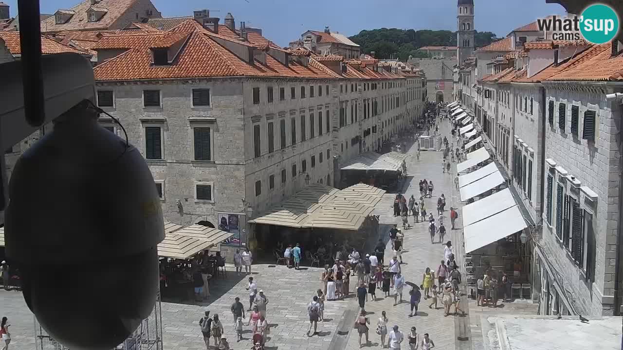 Livecam Dubrovnik Stradun