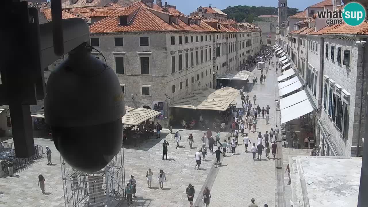 Camera en vivo Dubrovnik Stradun