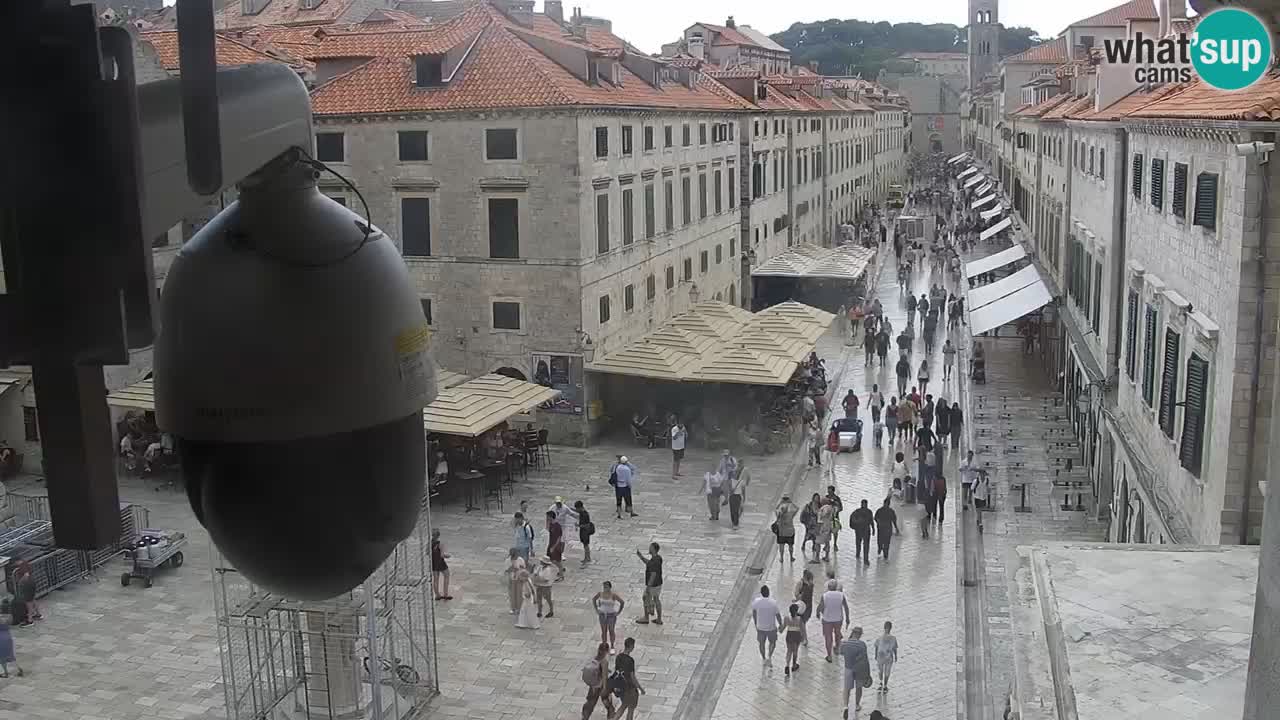 Livecam Dubrovnik Stradun