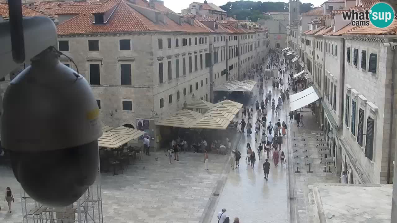 Camera en vivo Dubrovnik Stradun