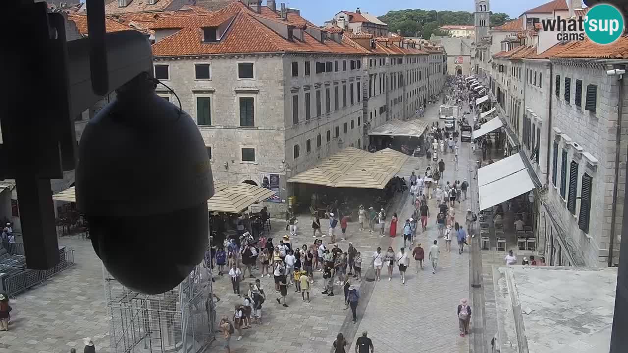 Live Webcam Dubrovnik Stradun