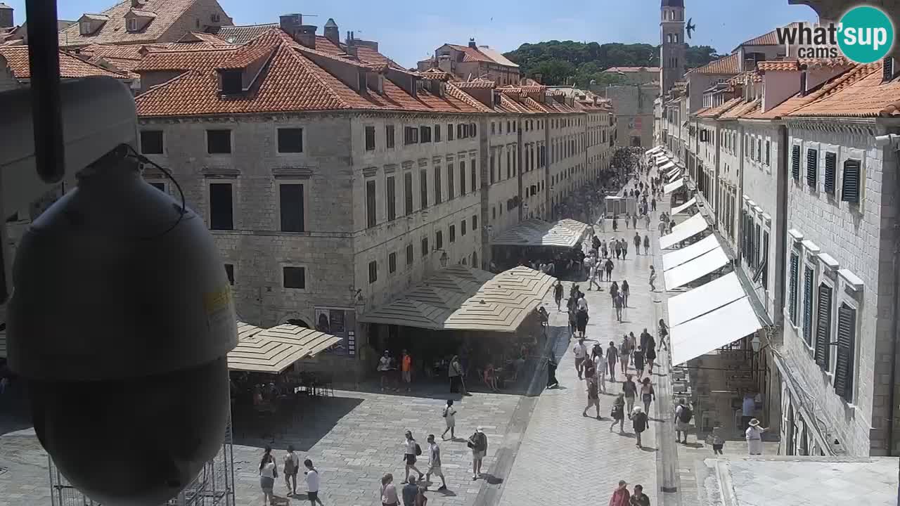 Kamera v živo Dubrovnik Stradun / Placa
