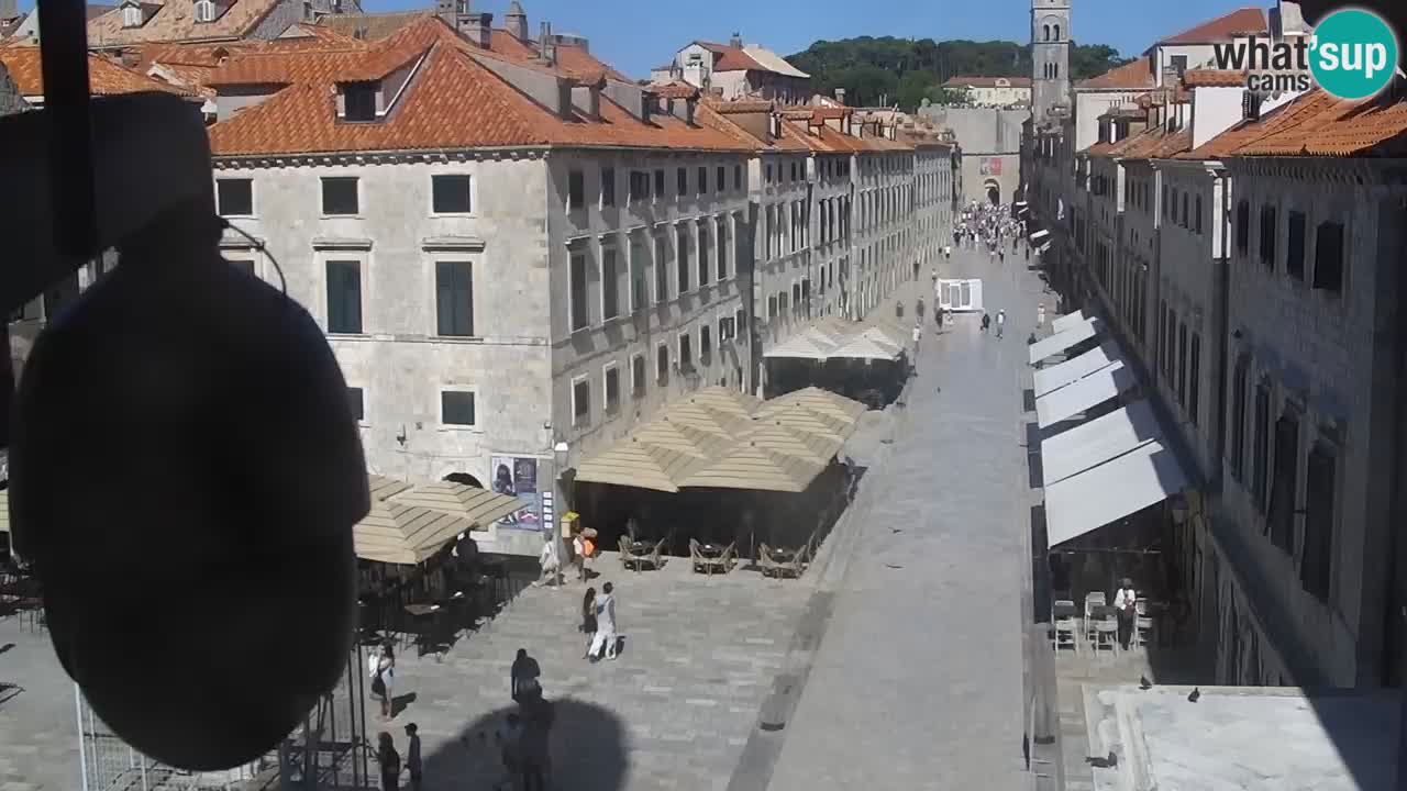 Livecam Dubrovnik Stradun
