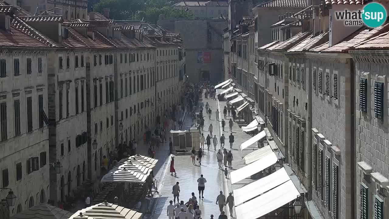 Livecam Dubrovnik Stradun