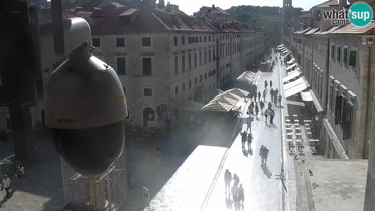 Camera en vivo Dubrovnik Stradun