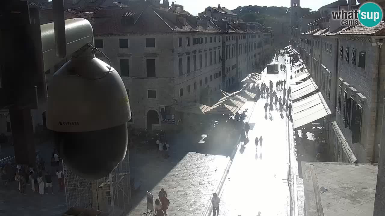 Webcam Ragusa (Dubrovnik) Stradun