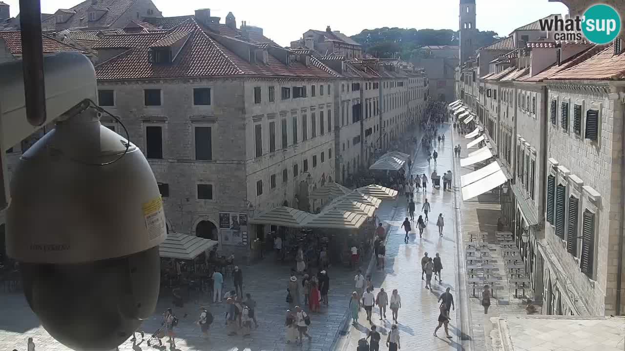 Live Webcam Dubrovnik Stradun