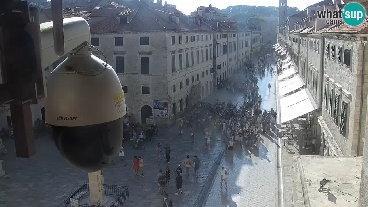 Livecam Dubrovnik Stradun