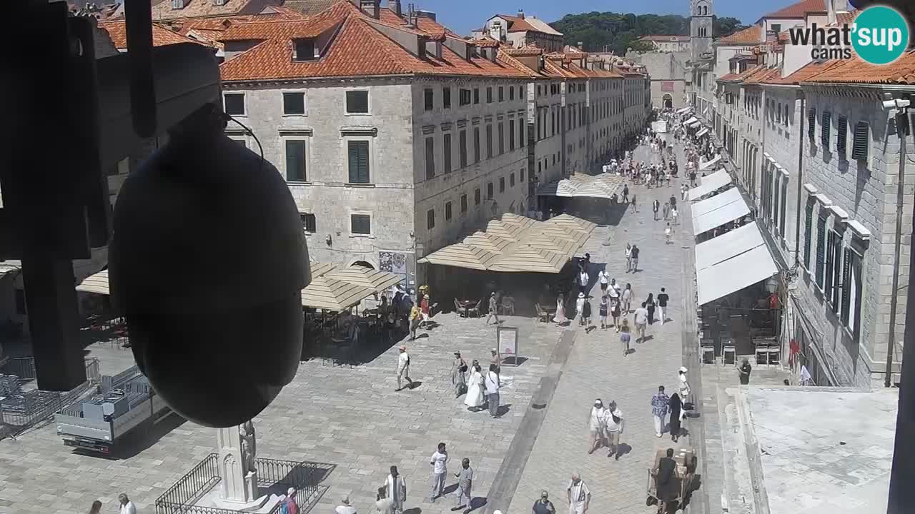 Livecam Dubrovnik Stradun