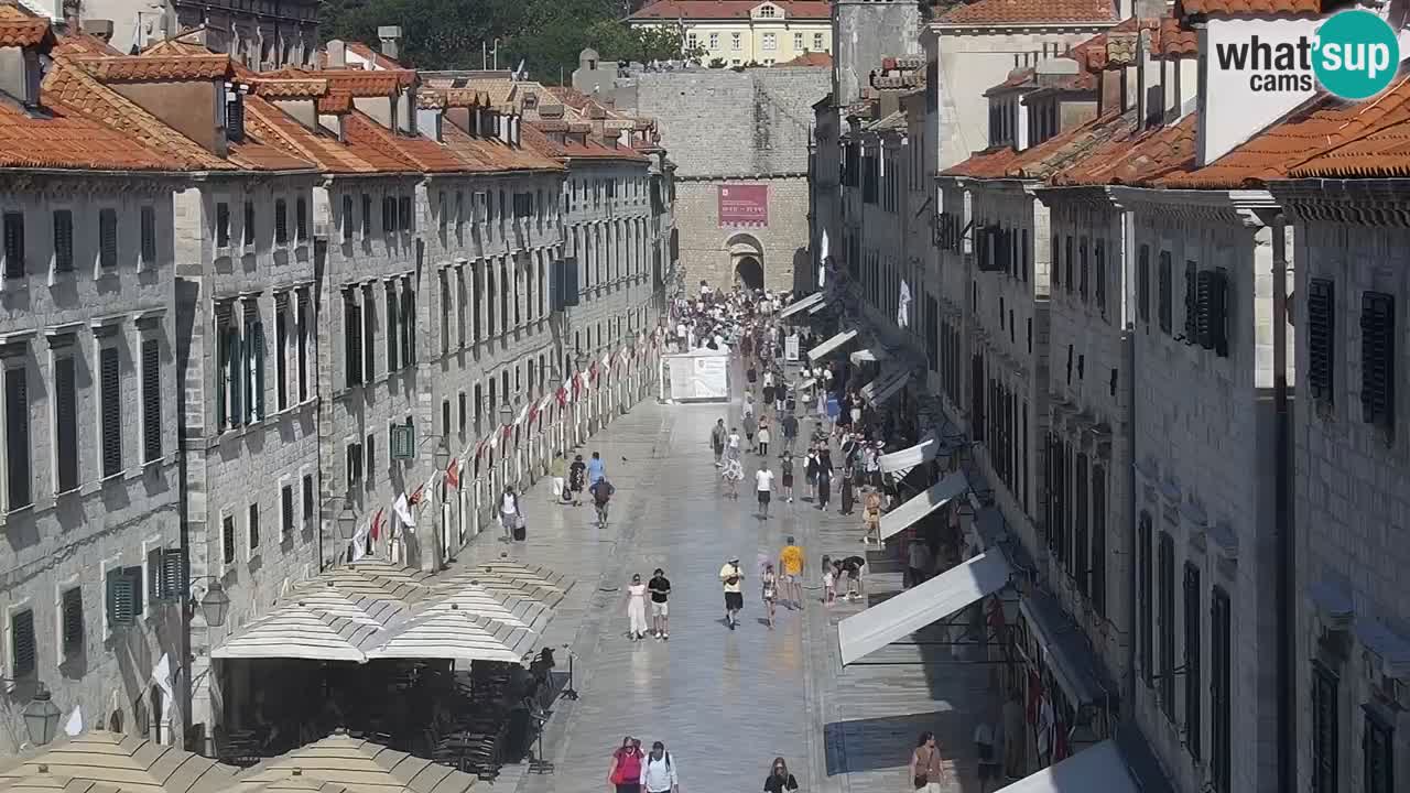 Live Webcam Dubrovnik Stradun