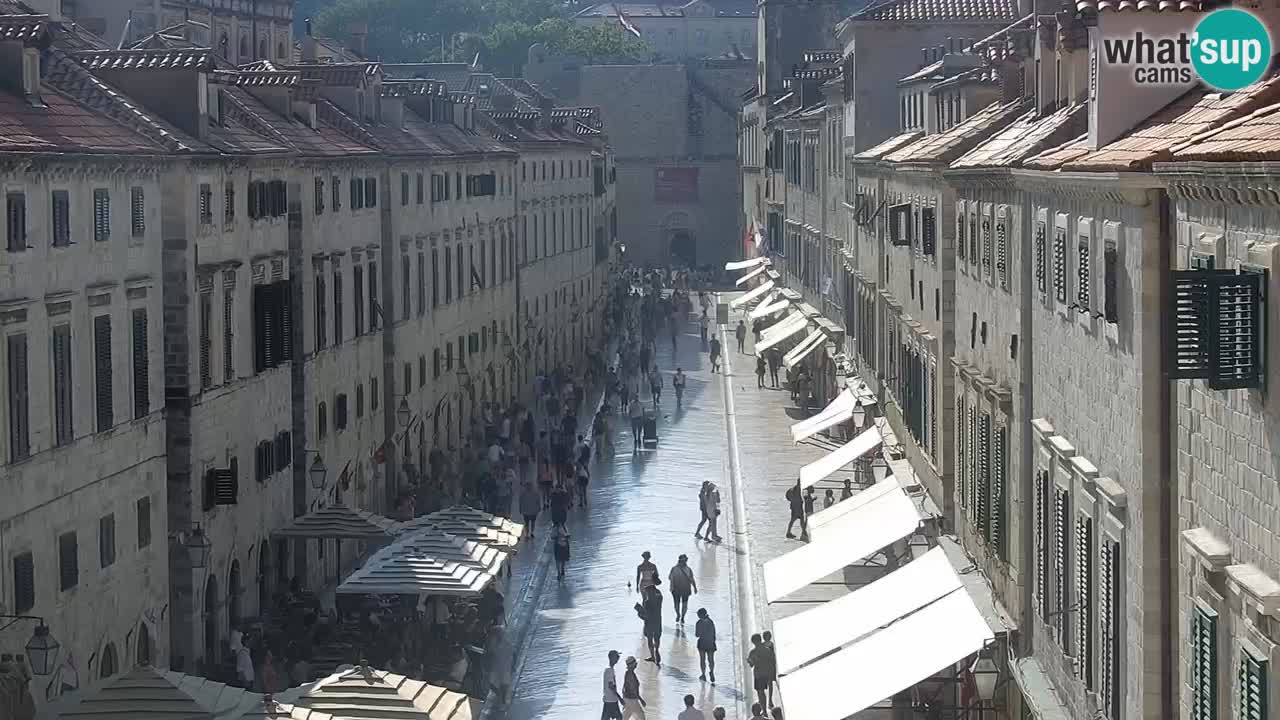 Livecam Dubrovnik Stradun