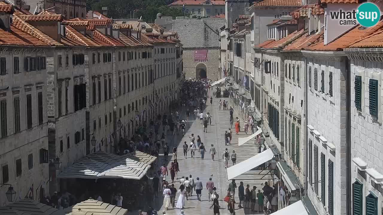 Webcam Ragusa (Dubrovnik) Stradun