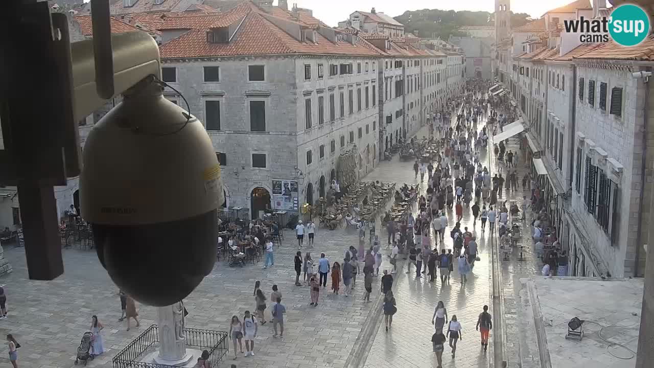 Livecam Dubrovnik Stradun